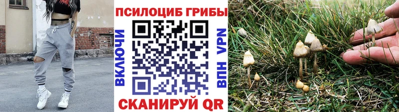 Псилоцибиновые грибы мухоморы  где купить наркоту  Вичуга 
